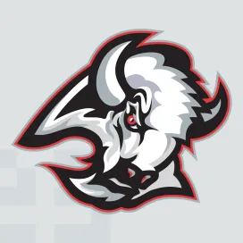 Buffalo sabres